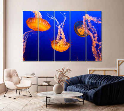 Orange Jellyfish Canvas Print-Canvas Print-CetArt-1 Panel-24x16 inches-CetArt