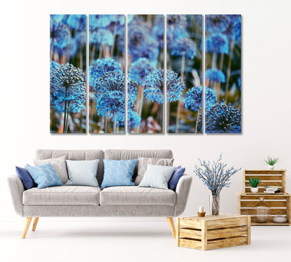 Alliums Flowers Canvas Print-Canvas Print-CetArt-1 Panel-24x16 inches-CetArt