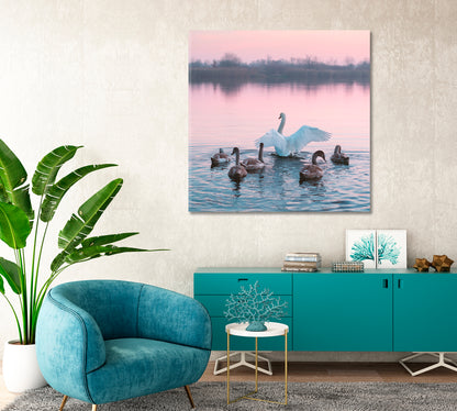 Swans Family in Pink Lake Canvas Print-Canvas Print-CetArt-1 panel-12x12 inches-CetArt