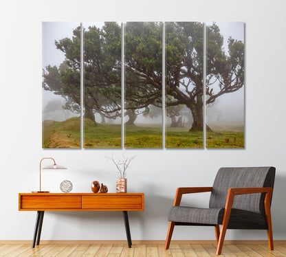 Beautiful Trees in Fog Canvas Print-Canvas Print-CetArt-1 Panel-24x16 inches-CetArt