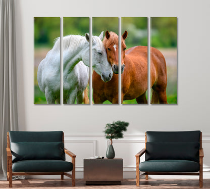 Two Lovely Horses Canvas Print-Canvas Print-CetArt-1 Panel-24x16 inches-CetArt