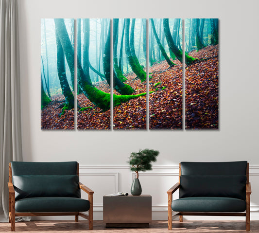 Mysterious Forest with Beech with Moss Canvas Print-Canvas Print-CetArt-1 Panel-24x16 inches-CetArt
