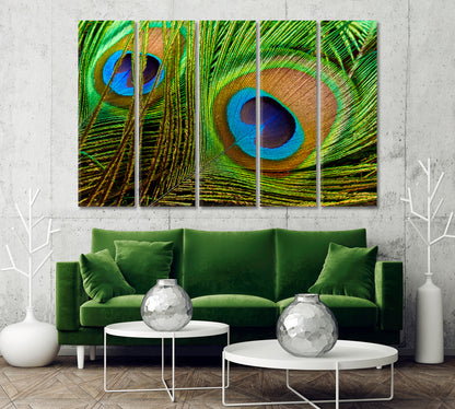 Bright Peacock Feathers Canvas Print-Canvas Print-CetArt-1 Panel-24x16 inches-CetArt