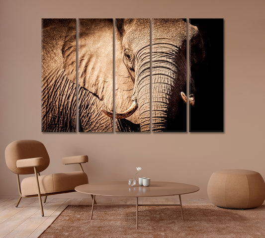 Wild African Elephant Canvas Print-Canvas Print-CetArt-1 Panel-24x16 inches-CetArt
