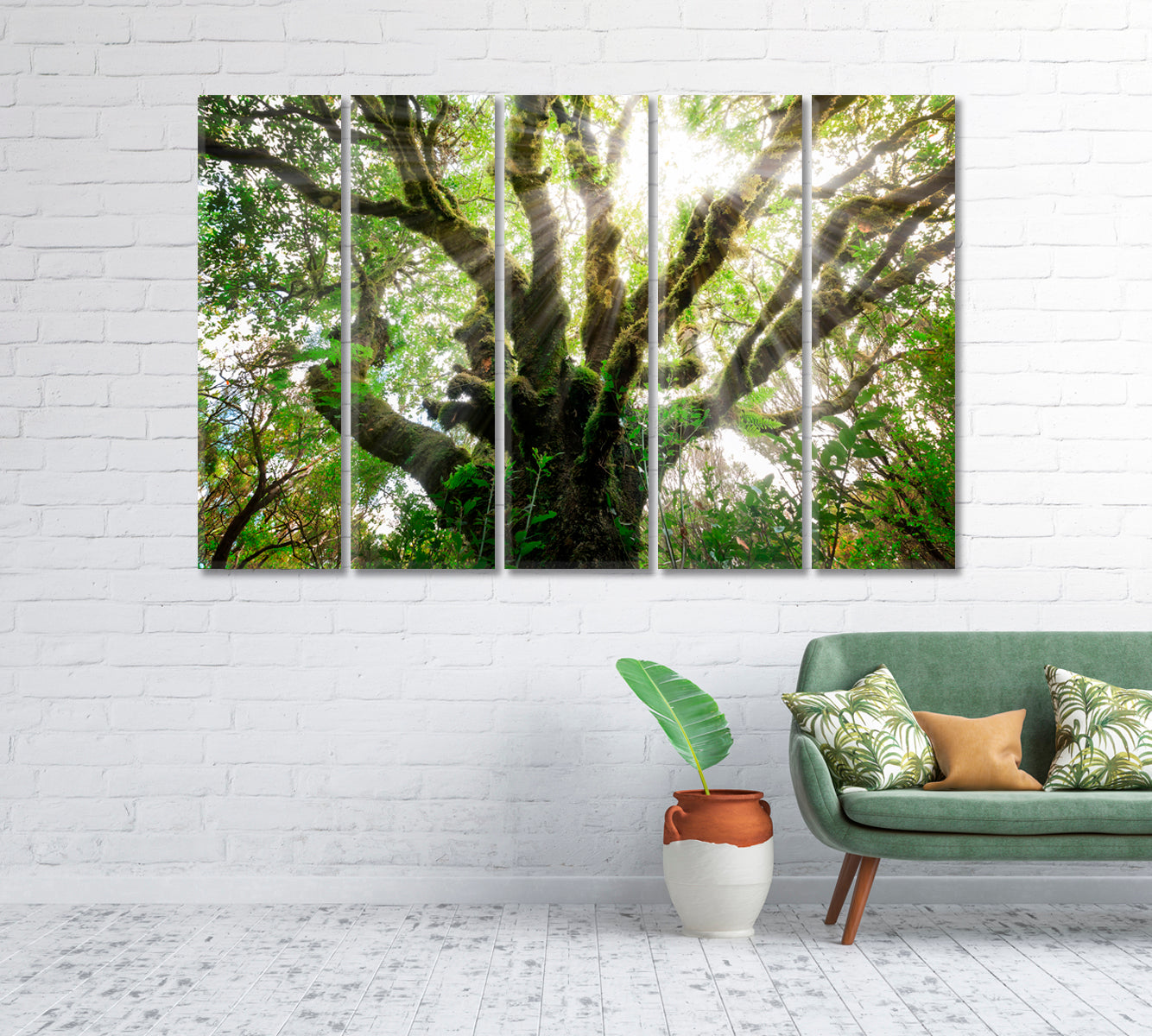 Laurissilva Forest Laurel Forest Madeira Canvas Print-Canvas Print-CetArt-1 Panel-24x16 inches-CetArt