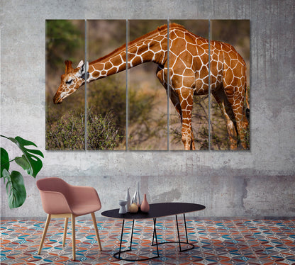 Giraffe in Samburu National Reserve Kenya Canvas Print-Canvas Print-CetArt-1 Panel-24x16 inches-CetArt