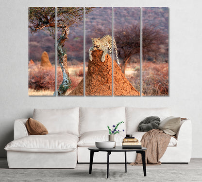 Leopard on a Termite Hill Namibia Africa Canvas Print-Canvas Print-CetArt-1 Panel-24x16 inches-CetArt