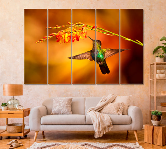 Hummingbird Collecting Nectar Canvas Print-Canvas Print-CetArt-1 Panel-24x16 inches-CetArt