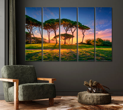 Seaside Pines at Sunset Canvas Print-Canvas Print-CetArt-1 Panel-24x16 inches-CetArt