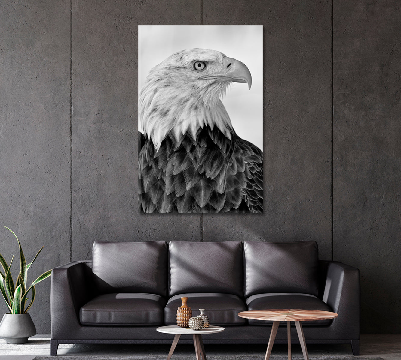Portrait of Bald Eagle in Black and White Canvas Print-Canvas Print-CetArt-1 panel-16x24 inches-CetArt