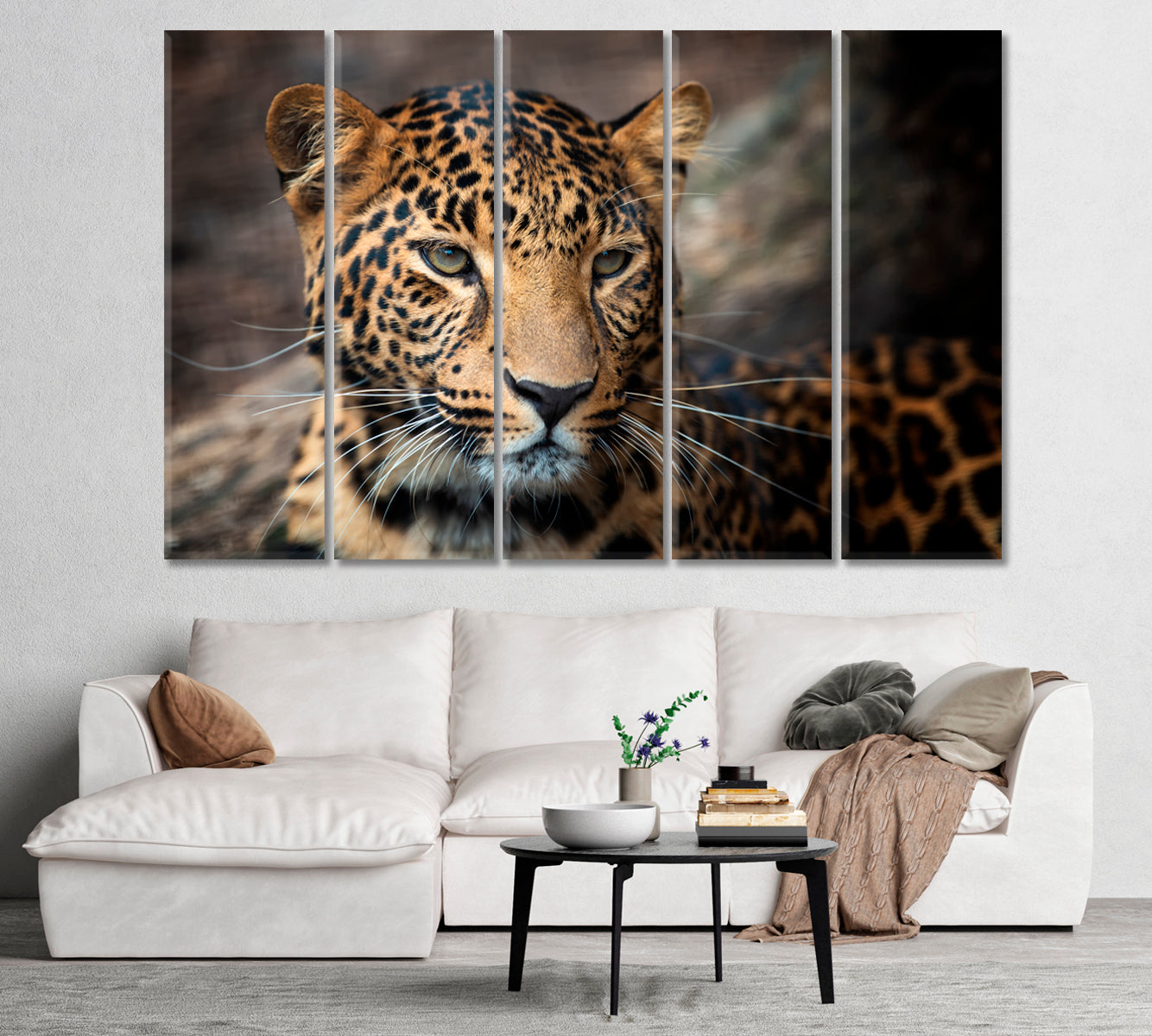 Young Leopard Canvas Print-Canvas Print-CetArt-1 Panel-24x16 inches-CetArt