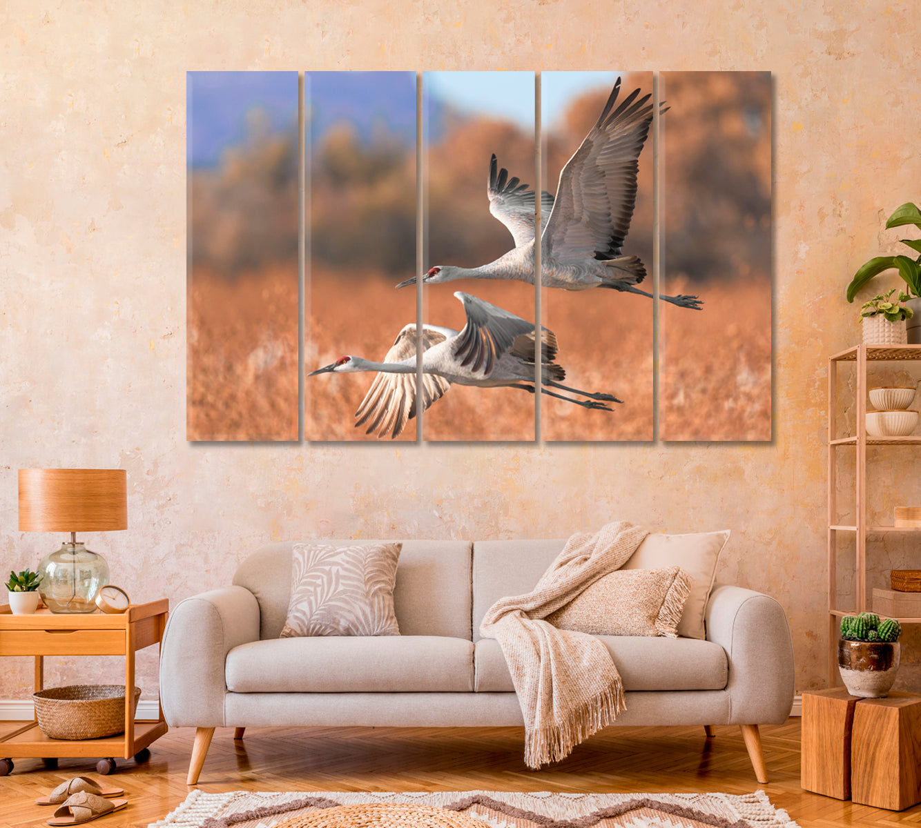 Two Beautiful Sandhill Cranes Canvas Print-Canvas Print-CetArt-1 Panel-24x16 inches-CetArt