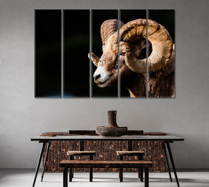 Bighorn Sheep Canvas Print-Canvas Print-CetArt-1 Panel-24x16 inches-CetArt