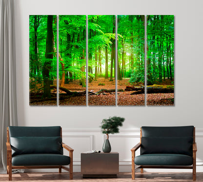 Mysterious Green Forest Veluwe Netherlands Canvas Print-Canvas Print-CetArt-1 Panel-24x16 inches-CetArt