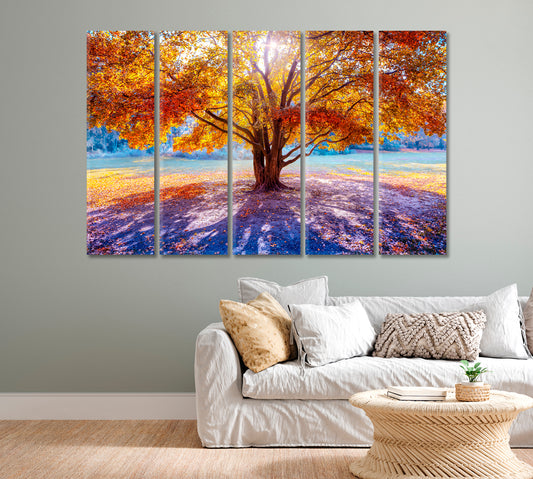 Beautiful Big Tree in Autumn Canvas Print-Canvas Print-CetArt-1 Panel-24x16 inches-CetArt