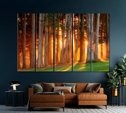 Sunset Sun Rays Breaking Through Trees Canvas Print-Canvas Print-CetArt-1 Panel-24x16 inches-CetArt