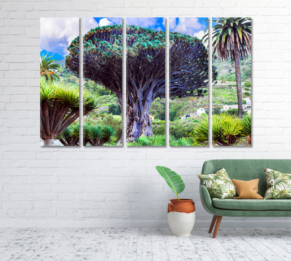 Dragon Tree Canary Island Tenerife Canvas Print-Canvas Print-CetArt-1 Panel-24x16 inches-CetArt