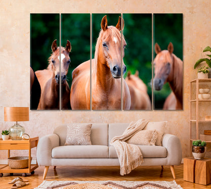 Herd of Arabian Horses Canvas Print-Canvas Print-CetArt-1 Panel-24x16 inches-CetArt