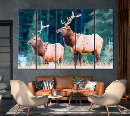 Wild Elks Canvas Print-Canvas Print-CetArt-1 Panel-24x16 inches-CetArt