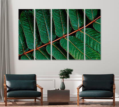 Water Drops on Tropical Green Leaves Canvas Print-Canvas Print-CetArt-1 Panel-24x16 inches-CetArt