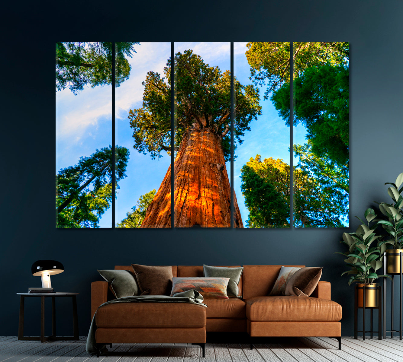 Sequoia National Park California United States Canvas Print-Canvas Print-CetArt-1 Panel-24x16 inches-CetArt