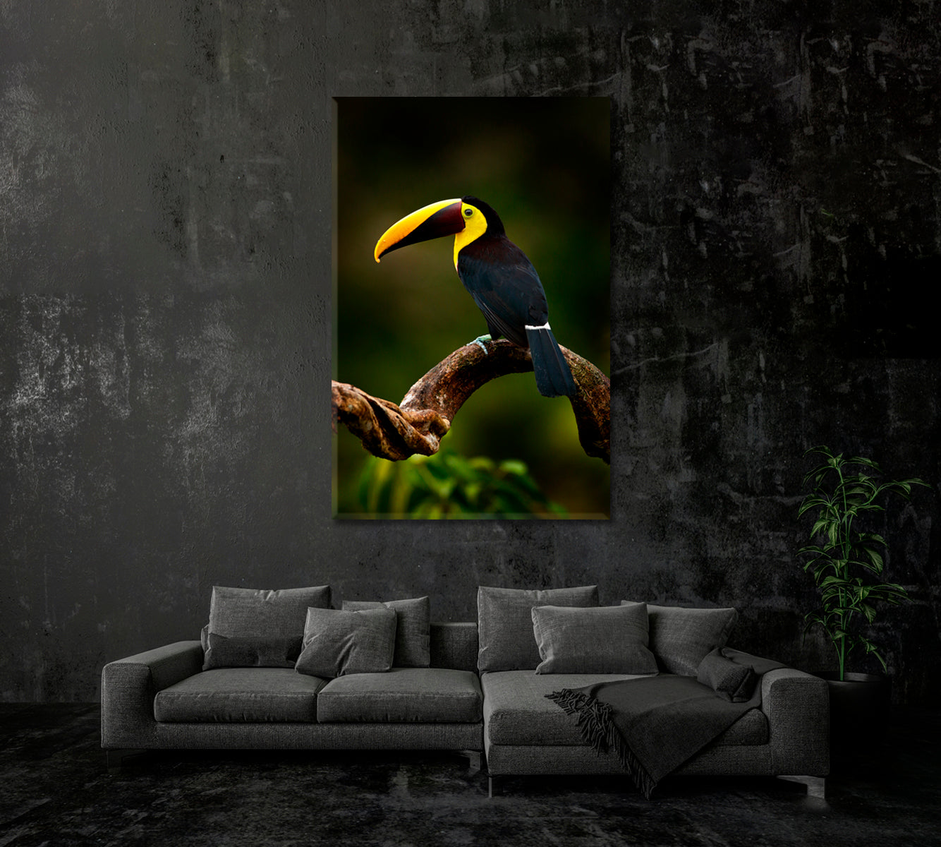 Yellow Throated Toucan Canvas Print-Canvas Print-CetArt-1 panel-16x24 inches-CetArt