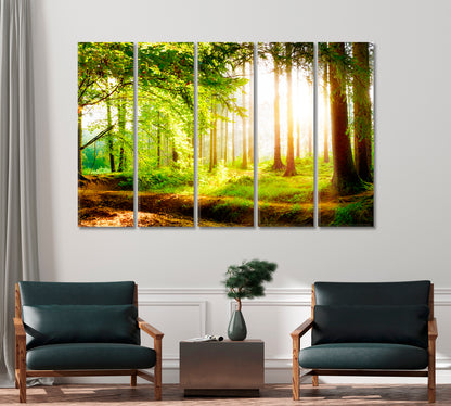 Beautiful Forest with Sunlight in Fog Canvas Print-Canvas Print-CetArt-1 Panel-24x16 inches-CetArt