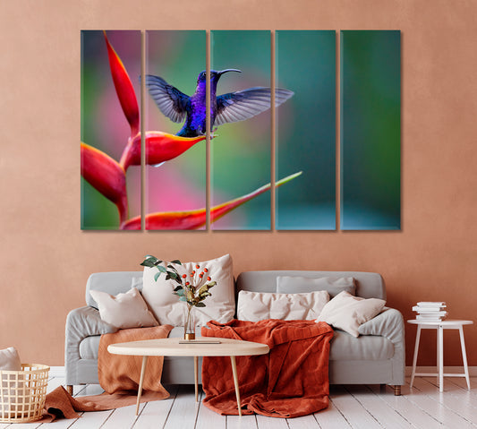 Hummingbird on Red Heliconia Flower Costa Rica Canvas Print-Canvas Print-CetArt-1 Panel-24x16 inches-CetArt