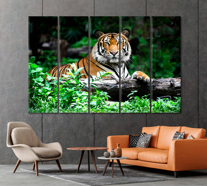 Bengal Tiger Resting in the Forest Canvas Print-Canvas Print-CetArt-1 Panel-24x16 inches-CetArt