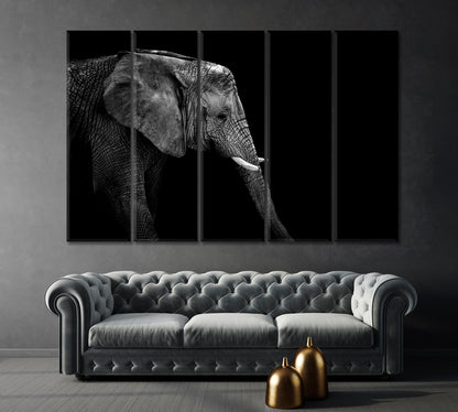 African Elephant Face in Black White Canvas Print-Canvas Print-CetArt-1 Panel-24x16 inches-CetArt