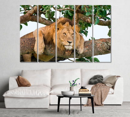 Lion Resting on a Tree in Uganda National Park Canvas Print-Canvas Print-CetArt-1 Panel-24x16 inches-CetArt