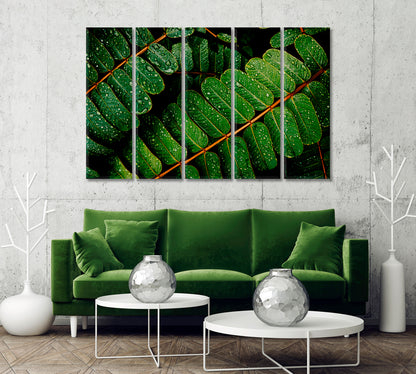 Green Leaves with Water Drops Canvas Print-Canvas Print-CetArt-1 Panel-24x16 inches-CetArt
