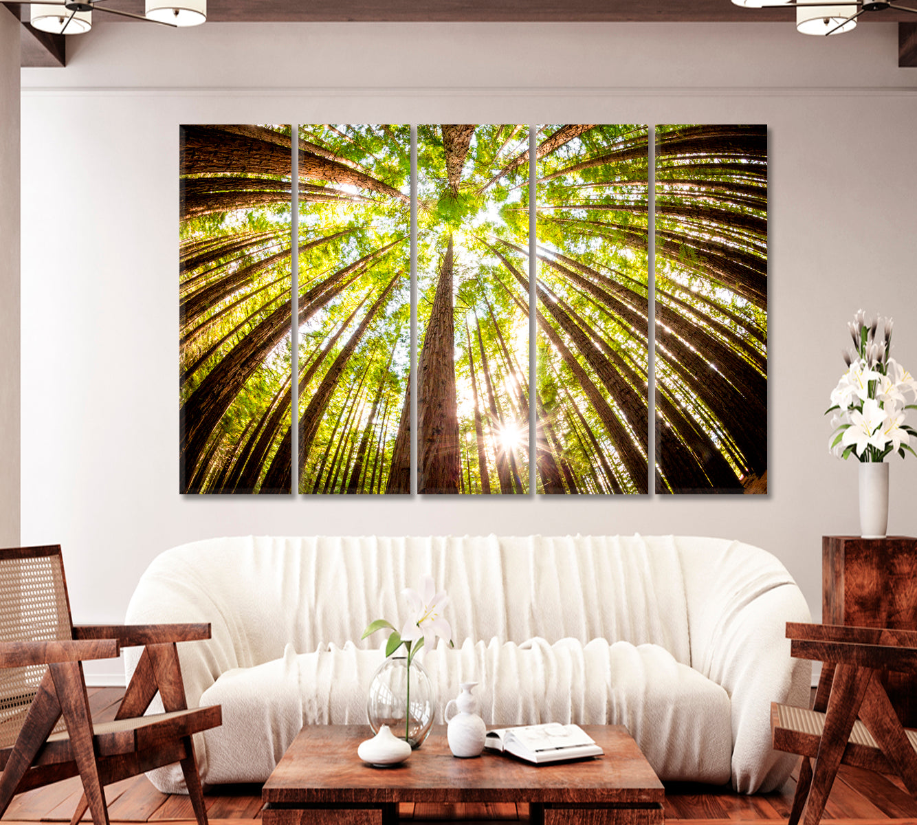 Redwood Plantation Australia Canvas Print-Canvas Print-CetArt-1 Panel-24x16 inches-CetArt