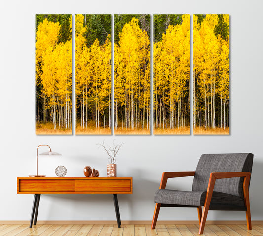 Yellow Aspen Tree in Mountains of Colorado Canvas Print-Canvas Print-CetArt-1 Panel-24x16 inches-CetArt
