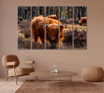 Highland Cattle Grazing Canvas Print-Canvas Print-CetArt-1 Panel-24x16 inches-CetArt