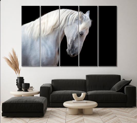 White Horse Portrait Canvas Print-Canvas Print-CetArt-1 Panel-24x16 inches-CetArt