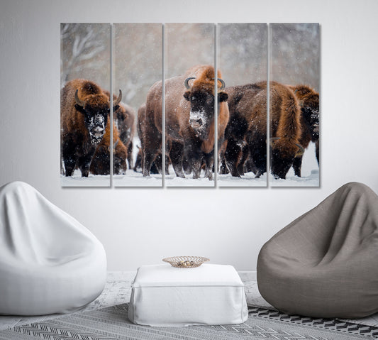 Herd of Wild Bisons in Winter Time Canvas Print-Canvas Print-CetArt-1 Panel-24x16 inches-CetArt