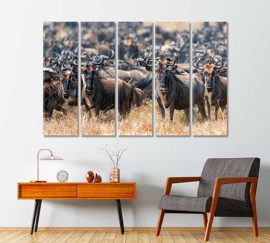 Herd of Wildebeests in Natural Habitat Canvas Print-Canvas Print-CetArt-1 Panel-24x16 inches-CetArt