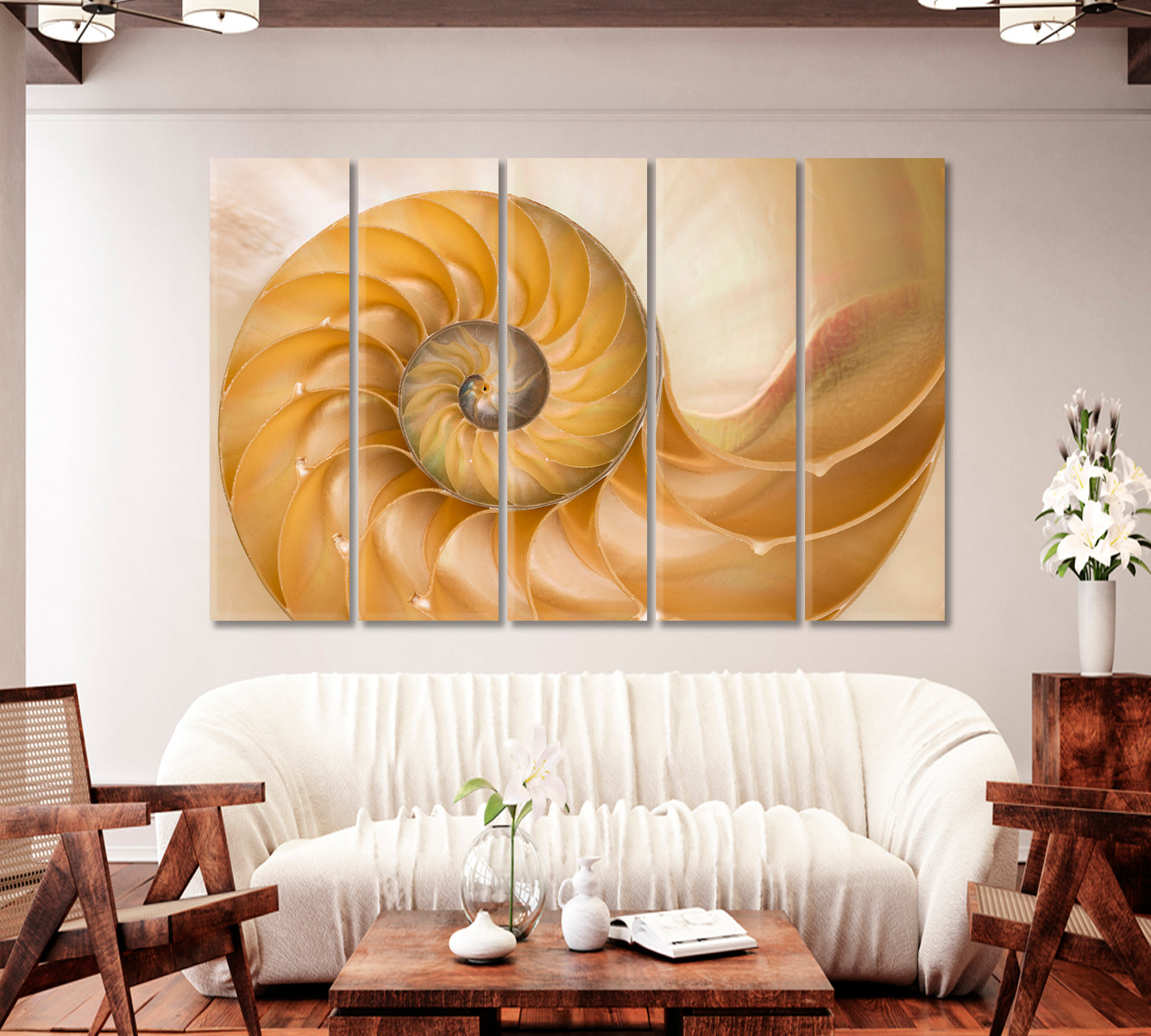 Nautilus Seashell Canvas Print-Canvas Print-CetArt-1 Panel-24x16 inches-CetArt
