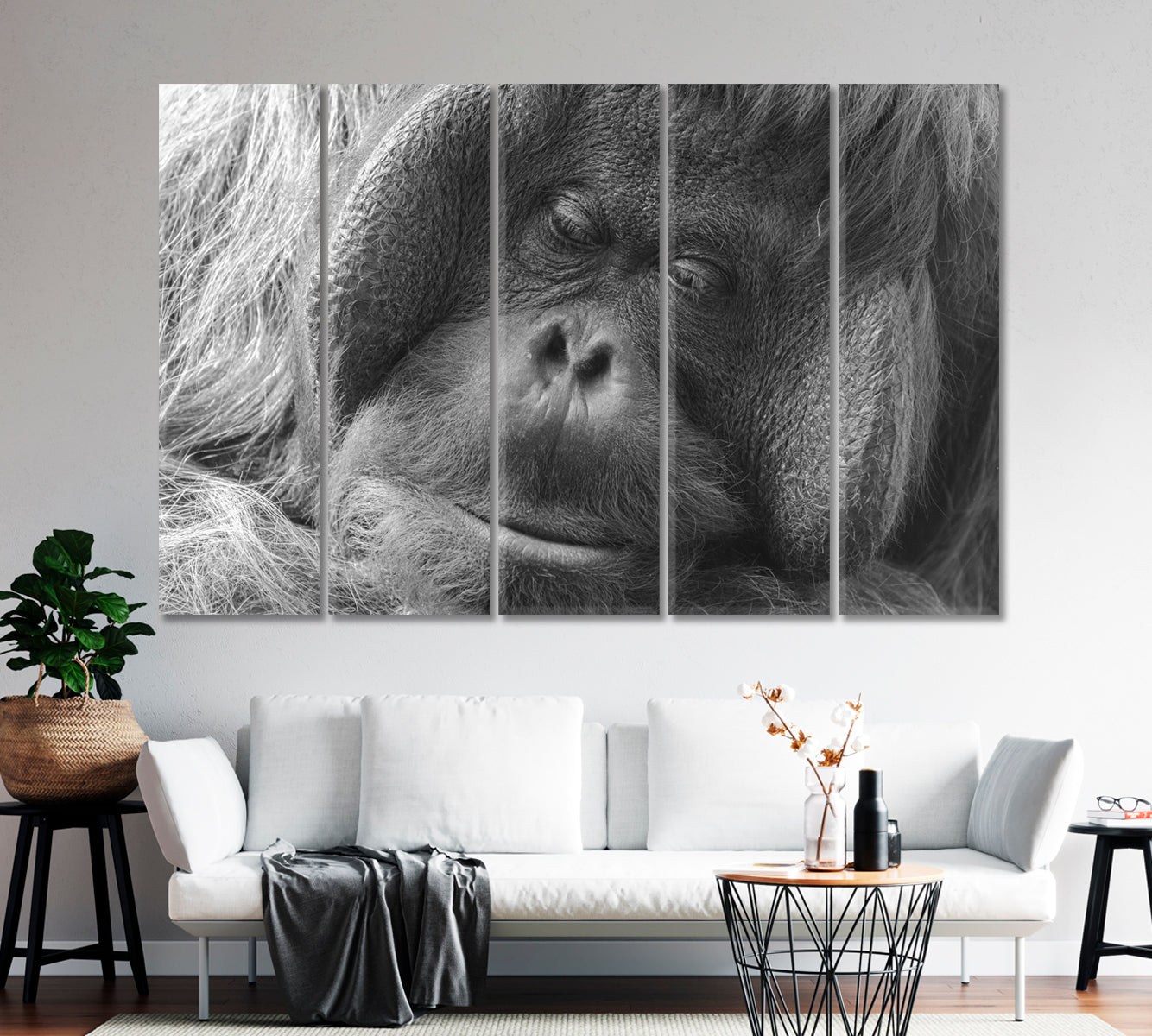 Orangutan in Black and White Canvas Print-Canvas Print-CetArt-1 Panel-24x16 inches-CetArt