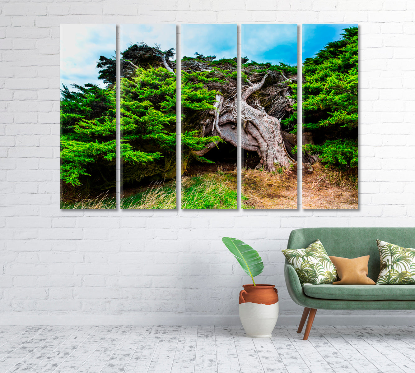 New Zealand Horizontal Forest Canvas Print-Canvas Print-CetArt-1 Panel-24x16 inches-CetArt
