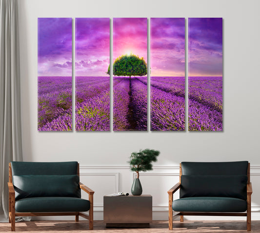 Lonely Tree in Beautiful Lavender Field Provence Canvas Print-Canvas Print-CetArt-1 Panel-24x16 inches-CetArt