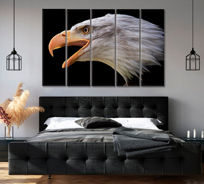 Portrait of Bald Eagle Canvas Print-Canvas Print-CetArt-1 Panel-24x16 inches-CetArt