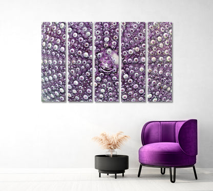 Violet Sea Shell Echinoidea Canvas Print-Canvas Print-CetArt-1 Panel-24x16 inches-CetArt
