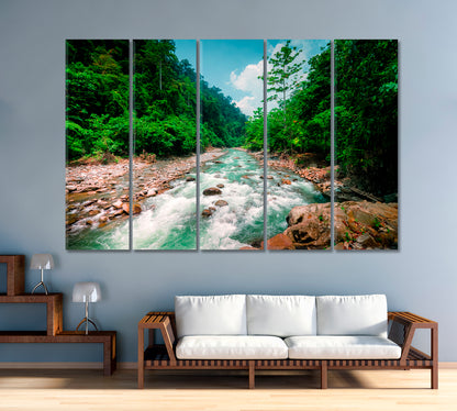 Magical Scenery of Rainforest and River with Rocks Canvas Print-Canvas Print-CetArt-1 Panel-24x16 inches-CetArt