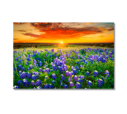 Bluebonnets Field at Sunset Texas Canvas Print-Canvas Print-CetArt-1 Panel-24x16 inches-CetArt