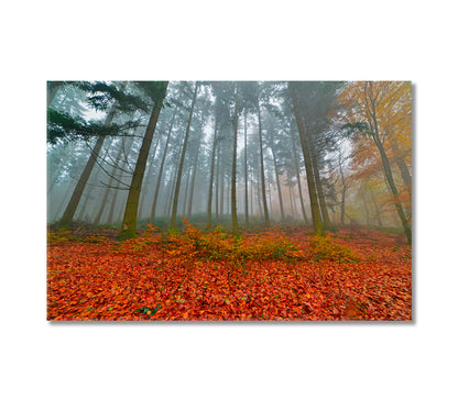 Foggy Autumn Pine Forest Canvas Print-Canvas Print-CetArt-1 Panel-24x16 inches-CetArt