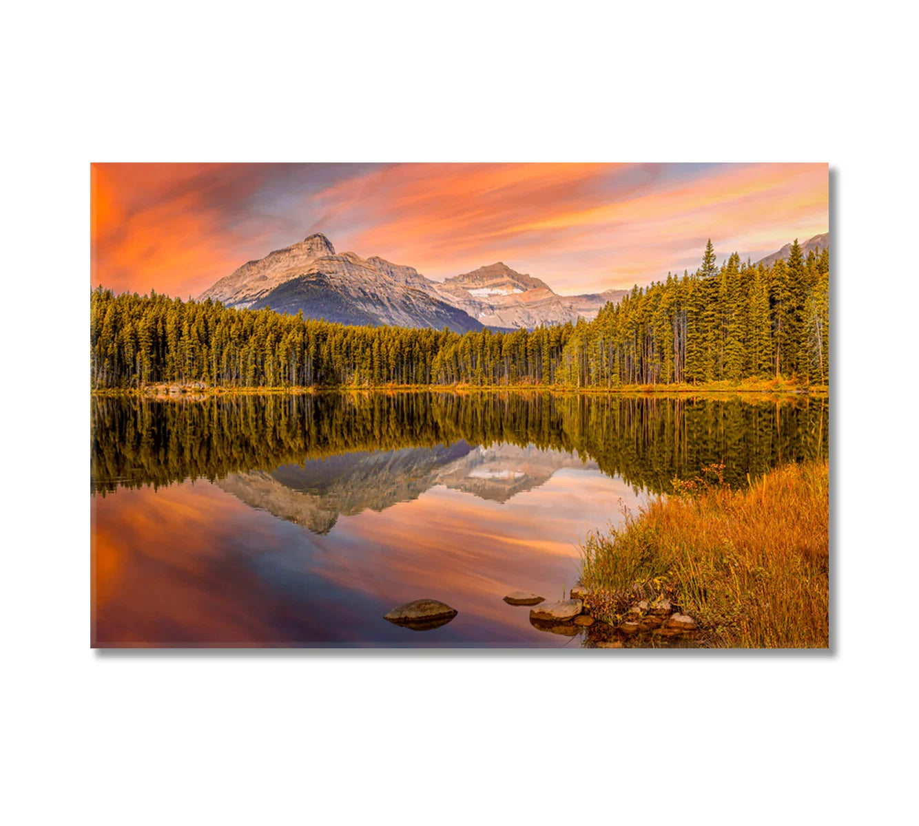 Herbert Lake canvas print featuring mirror reflections of pines and mountains at golden sunset