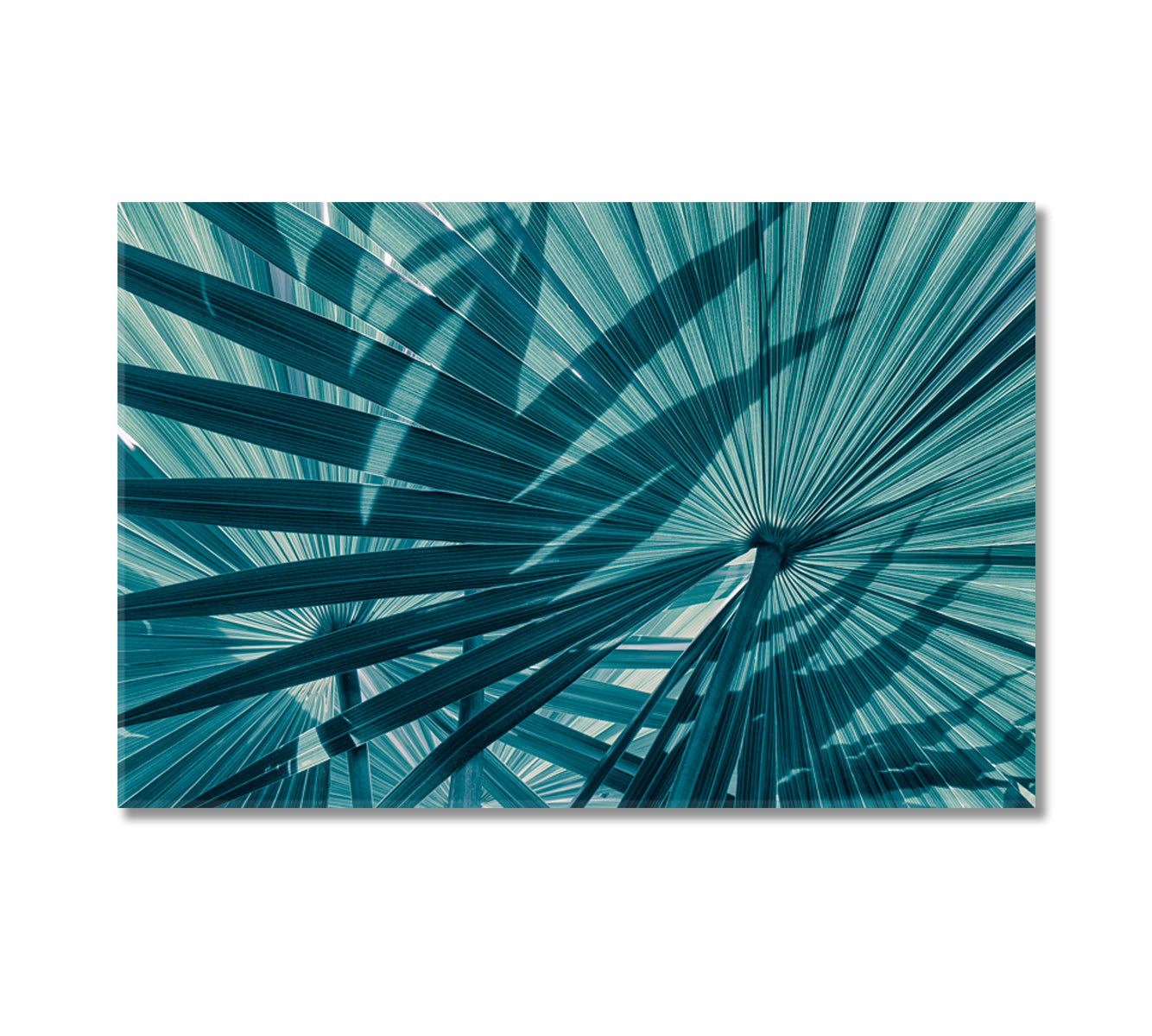 Abstract Tropical Leaves Canvas Print-Canvas Print-CetArt-1 Panel-24x16 inches-CetArt