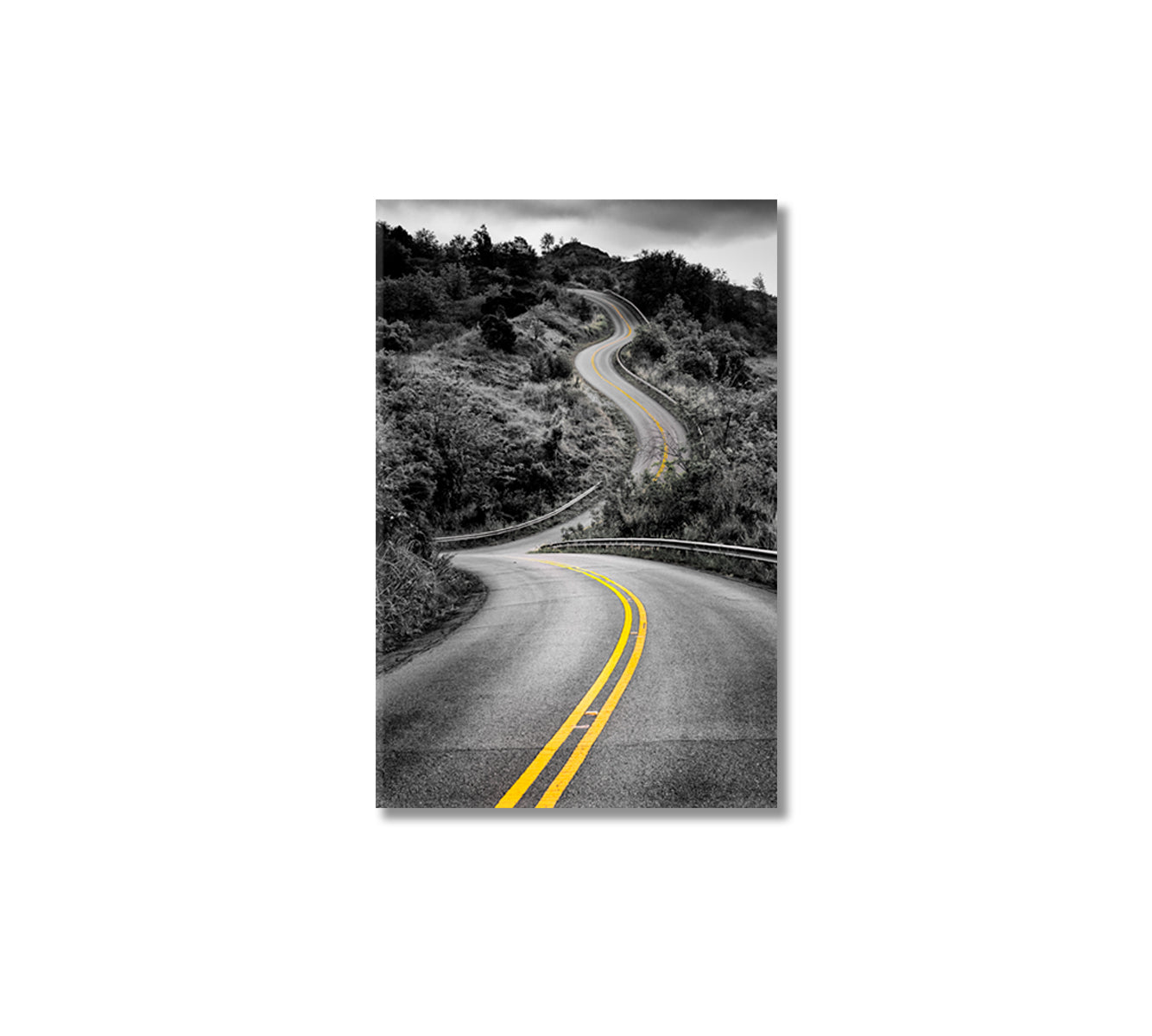 Curvy Road Kauai Hawaii USA Canvas Print-Canvas Print-CetArt-1 panel-16x24 inches-CetArt